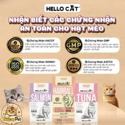 Hạt Mèo Hello Cat Tuna 1.2kg Chính Hãng | Thức Ăn Cho Mèo Vị Cá Ngừ Đầy Đủ Dinh Dưỡng | YLP Market 5