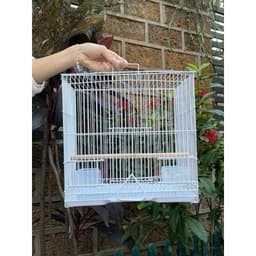 Lồng chứa chim, lồng chim tập trung, lồng chứa trung kích thước 46x33x31 chất liệu sơn tĩnh điện cao cấp 2