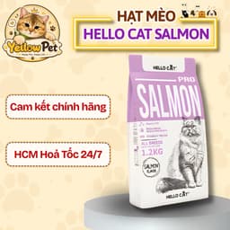 Hạt Mèo Hello Cat Vị Cá Hồi 1.2kg – Thức Ăn Dinh Dưỡng Cho Mèo Vị Cá Hồi 1.2kg Dạng Hạt - Chính Hãng | YLP Market 1