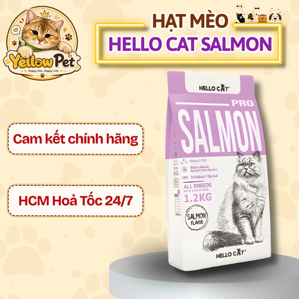 Hạt Mèo Hello Cat Vị Cá Hồi 1.2kg – Thức Ăn Dinh Dưỡng Cho Mèo Vị Cá Hồi 1.2kg Dạng Hạt - Chính Hãng | YLP Market