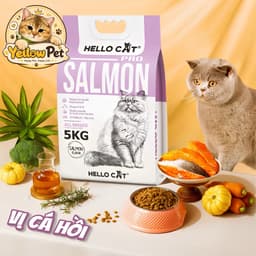 Hạt Mèo Hello Cat Vị Cá Hồi 1.2kg – Thức Ăn Dinh Dưỡng Cho Mèo Vị Cá Hồi 1.2kg Dạng Hạt - Chính Hãng | YLP Market 2