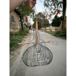 Lồng bẫy chim Vành Khuyên, hút mật chất liệu sắt giá rẻ, nhạy, bền đẹp 5