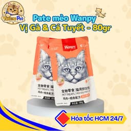 Combo 10 Gói Pate Wanpy Cho Mèo Mix Vị Ngẫu Nhiên - 80gr Chính Hãng | YLP Market 5