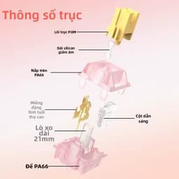 Switch bàn phím cơ | Otemu silent Peach V3 5