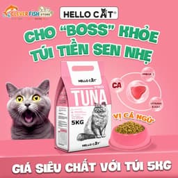 [Túi 5kg] Thức Ăn Cho Mèo Hello Cat Tuna Vị Cá Ngừ, Hạt Dinh Dưỡng Cho Mèo Mọi Lứa Tuổi, Clever Fish Store 3