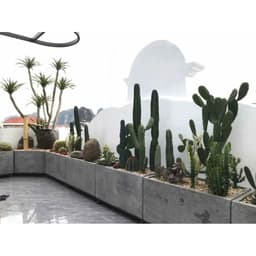 chậu nhựa Composite chữ nhật.chậu trồng cây ban công chống nắng chống nước độ bền cao 8