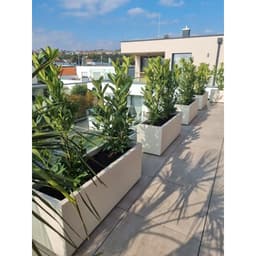 chậu nhựa Composite chữ nhật.chậu trồng cây siêu nhẹ chống nắng chống nước độ bền cao 6