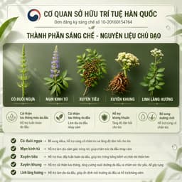 Xịt dưỡng da đầu, mọc tóc RUÉE Damoa Reinforce Hair Tonic Premium 150ml - Chính hãng Hàn Quốc 5