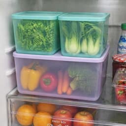 Bộ hộp trữ đông dẻo Gen II (5) và trữ mát Tupperware Cubix Starter - Bảo hành trọn đời - Nhựa nguyên sinh an toàn 8