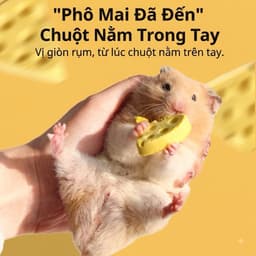 Phô mai đông khô gà sữa dê cho hamster vỗ béo hãng BELGI 4