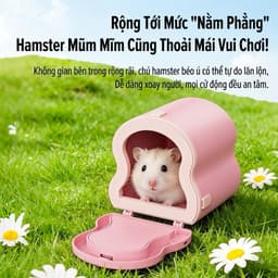 Nhà nhìn trộm nam châm từ tính cho hamster nhà ngủ nhựa BELGI   3