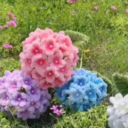 Phấn Tô Hoa Kẽm Nhung 16 Màu Bám Màu Tốt Cho Handmade 4