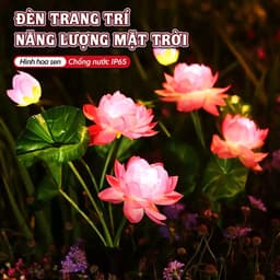 Đèn Trang Trí Sân Vườn Hình Hoa Sen Năng Lượng Mặt Trời Thông Minh Cao Cấp 6