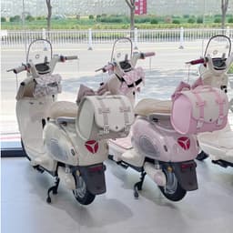 Phụ kiện xe điện YADEA OVA cốp sau OVA túi sau Yadea OVA xe điện ÂN HIỂN 3