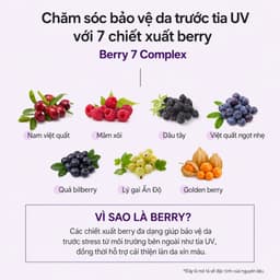 LOUVCELL Tinh chất chống nắng nâng tông Purple Berry Tone Up Sun Serum SPF50+ PA++++ 50g 7