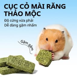 BELGI BÁNH MÀI CỎ BỔ SUNG SỮA DÊ LỢI KHUẨN CHO HAMSTER 5