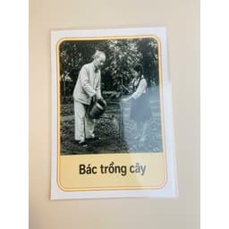 Set Bác Hồ Với Thiếu Nhi – Trang Trí Bảng Lớp, Góc Học Tập, Chủ Đề Bác Hồ 7