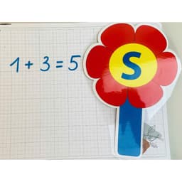 Hoa Đúng Sai 2 Mặt – Dụng Cụ Đánh Giá Bài Làm, Hỗ Trợ Dạy Học Trực Quan 3