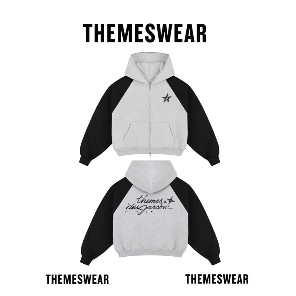 [DEAL Mở Bán] Hoodie Themeswear Tráng Gương Nỉ Chân Cua From Boxy.