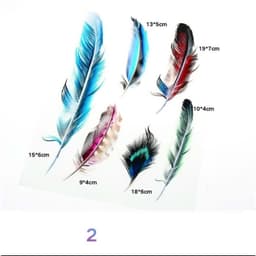 DECAL CHE VẾT XƯỚC HÌNH CÁNH CHIM, BỘ LÔNG VŨ - DECAL Ô TÔ-XE TẢI-XE KHÁCH 3