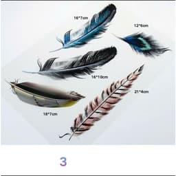 DECAL CHE VẾT XƯỚC HÌNH CÁNH CHIM, BỘ LÔNG VŨ - DECAL Ô TÔ-XE TẢI-XE KHÁCH 4