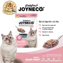 Pate Dinh Dưỡng Cho Mèo CattyMan Joyneco 60gr Thịt Thật Chính Hãng | YLP Market 2