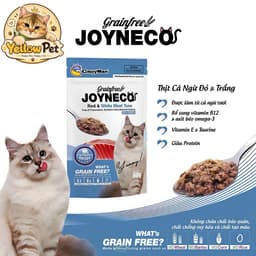 Pate Dinh Dưỡng Cho Mèo CattyMan Joyneco 60gr Thịt Thật Chính Hãng | YLP Market 5