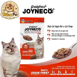 Pate Dinh Dưỡng Cho Mèo CattyMan Joyneco 60gr Thịt Thật Chính Hãng | YLP Market 4
