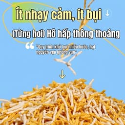 BELGI Giấy xoắn xoăn nhiều màu sắc lót chuồng cho hamster thấm hút gấp 3 lần, không bụi thoáng khí 4