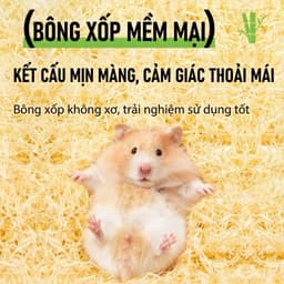 BELGI MÙN NHUNG lót chuồng cho hamster thoáng khí mát mẻ mùn nhung từ gỗ cây trúc TQ 3