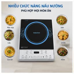 BẾP TỪ ĐƠN CAO CẤP OWANI 3
