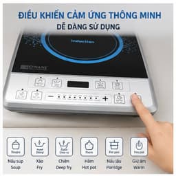 BẾP TỪ ĐƠN CAO CẤP OWANI 4