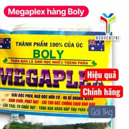 Phân Bón Sinh Học Megaplex Boly Nhập Úc (1kg) - Axit Humic 42% Kích Rễ, Lớn Trái 6