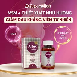 Artex +Plus Bổ Sung Glucosamine Chondroitin Tăng Tái Tạo, Bôi Trơn Phục Hồi Mô Sụn Khớp, Giảm Viêm Đau Và Thoái Hóa 6
