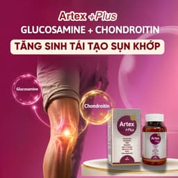 Artex +Plus Bổ Sung Glucosamine Chondroitin Tăng Tái Tạo, Bôi Trơn Phục Hồi Mô Sụn Khớp, Giảm Viêm Đau Và Thoái Hóa 4