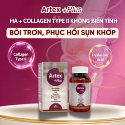 Artex +Plus Bổ Sung Glucosamine Chondroitin Tăng Tái Tạo, Bôi Trơn Phục Hồi Mô Sụn Khớp, Giảm Viêm Đau Và Thoái Hóa 5