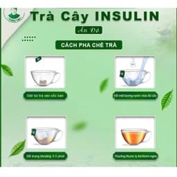 CHÍNH HÃNG TRÀ CÂY INSULIN ẤN ĐỘ MUA 5 TẶNG 2 1