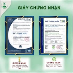 CHÍNH HÃNG TRÀ CÂY INSULIN ẤN ĐỘ MUA 5 TẶNG 2 3
