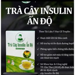 CHÍNH HÃNG TRÀ CÂY INSULIN ẤN ĐỘ MUA 5 TẶNG 2 4