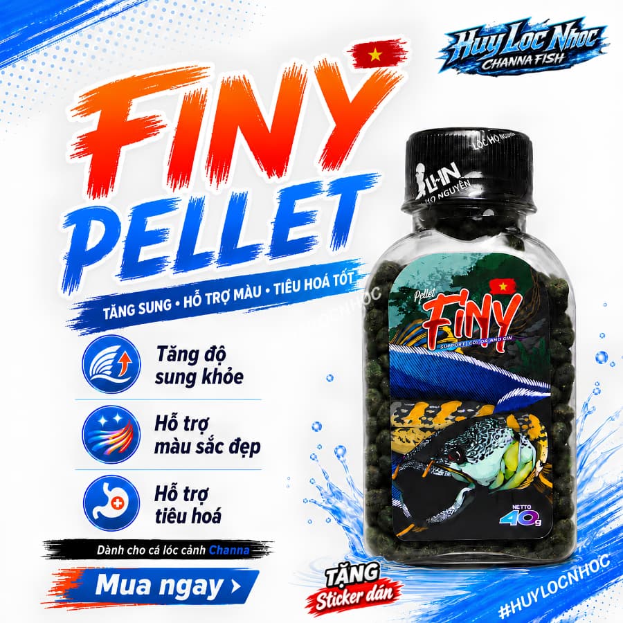 Cám FINY Thường 4mm 40g Cho Cá Lóc Cảnh | Cá Lóc Lạnh Nữ Hoàng, Andrao | Hỗ Trợ Vây Kỳ, Lên Màu