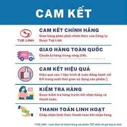 Cà Gai Leo Tuệ Linh [Chính hãng] - Giúp bảo vệ tăng cường chức năng gan, giải độc gan - Hộp 60 viên 6