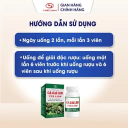 Cà Gai Leo Tuệ Linh [Chính hãng] - Giúp bảo vệ tăng cường chức năng gan, giải độc gan - Hộp 60 viên 5