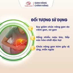 Cà Gai Leo Tuệ Linh [Chính hãng] - Giúp bảo vệ tăng cường chức năng gan, giải độc gan - Hộp 60 viên 4
