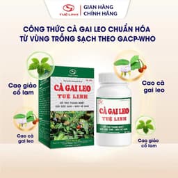 Cà Gai Leo Tuệ Linh [Chính hãng] - Giúp bảo vệ tăng cường chức năng gan, giải độc gan - Hộp 60 viên 3