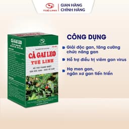 Cà Gai Leo Tuệ Linh [Chính hãng] - Giúp bảo vệ tăng cường chức năng gan, giải độc gan - Hộp 60 viên 1