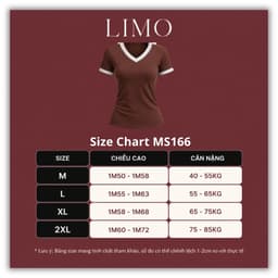 [Có Bigsize 45-85kg] Áo Thun Cổ Tim Tay Ngắn Cổ V Viền Ôm Đẹp Áo Phong Trơn Xinh Áo Thun Nữ MS166 8