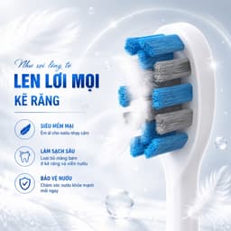 Set 2 đầu thay thế cho đầu bàn chải điện Wisezen TB01 REISONIC H610 Pro Minh House làm sạch răng 6