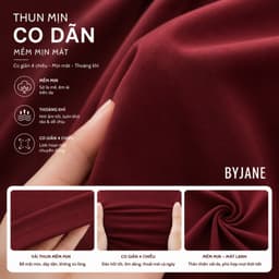 [MÀU MỚI] Áo Thun Nữ Dài Tay Cổ Tròn Basic Co Giãn 4 Chiều Ôm Body Mềm Mịn Thời Trang BYJANE - 888 2