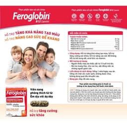 TPBVSK Vitabiotics FEROGLOBIN B12 Capsules Bổ Sung Sắt, Kẽm, Axit Folic, B6 Hỗ Trợ Tăng Khả Năng Tạo Máu, 30 Viên 7