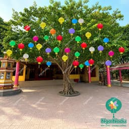 Đèn Lồng Vải Tròn CÓ RÂU Chống Nước  trang trí Tết Trung Thu,khai giảng,lễ hội trường học,nhà chùa,khu du lịch giá sỉ 2